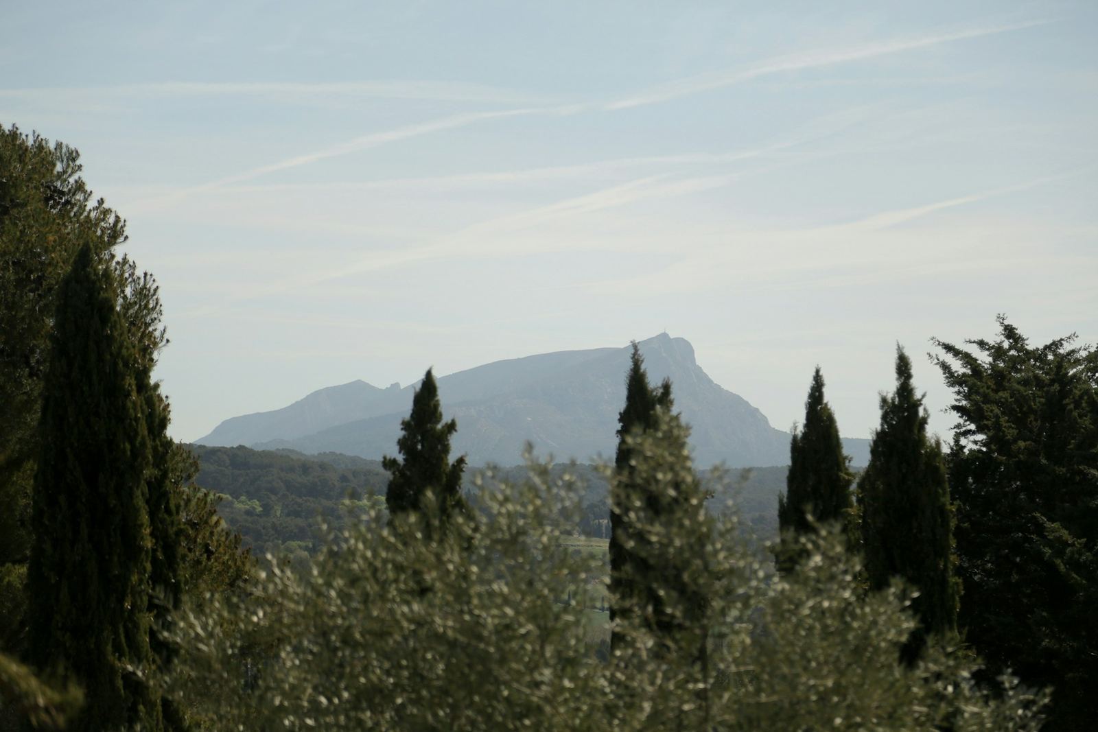 Paysage provençal, cyprès et relief calcaire à l’horizon