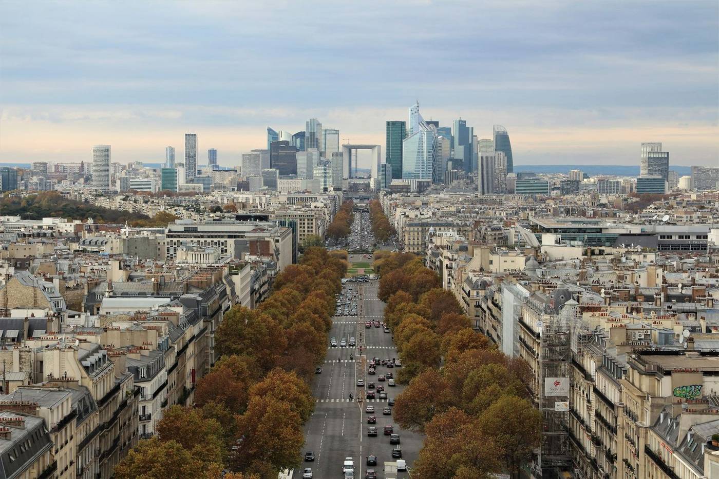 Avenue arborée parisienne vue depuis les toits